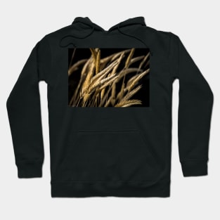 Wheatgrass Hoodie